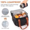 17L Expandable Insulated Lunch Box Bag for Women/Men, Leak-Proof & Freezer-Safe, Double Deck Design with Adjustable Shoulder Strap & Side Pocket for